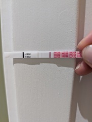 2dpo today, company welcome :)