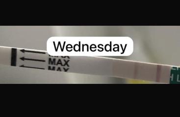 Advice about OPKs (first time TTC)