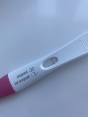 Line eyes - 9/10 dpo