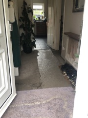 What colour vinyl flooring would you suggest?  pics attached