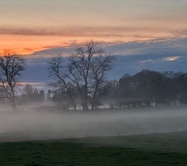The Nigel Slater Christmas Chronicles Readalong 2024 Part 2