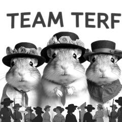 Autumn leaves, crackling fires, quokkas and puffins at the Bluestocking.