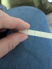 Clear blue test. Evap line or positive