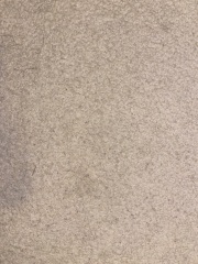 Will a carpet shampooer sort this grubby carpet?