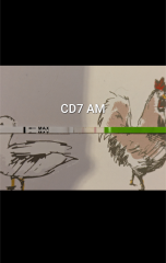 Help with confirming LH test