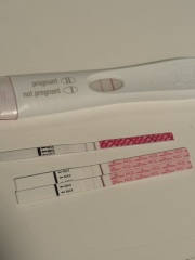 Nov 2024 TTC 💖 part 2 ✨