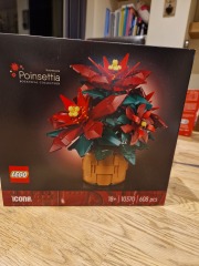 To show me your Lego collection?