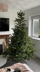 White Company Christmas tree?