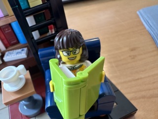 To show me your Lego collection?