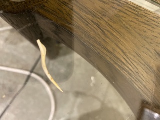 What do you think this is?