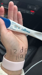 Clear blue line progression