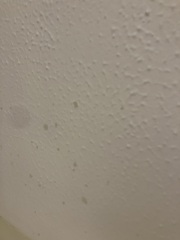 Mould