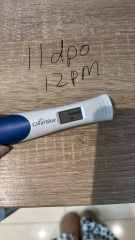 Clear blue line progression