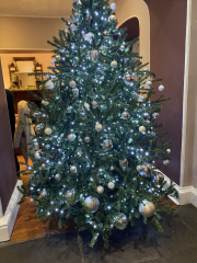 Come and tell me your dull and unexciting news 31: Calmly through the day