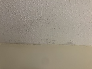 Mould