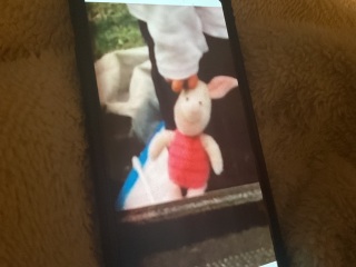 Inspired by another thread and encourage to by some posters - please help me find Piglet (clearer photo further down the thread)