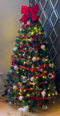 Show us your Christmas trees