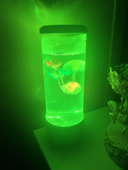 Jellyfish lamp help