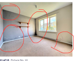 Buying a house with significant black moulds on walls