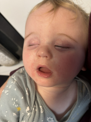 The November 2023-ish babies - the further adventures of…