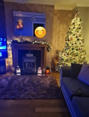 Show us your Christmas trees