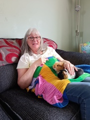 Guinea pigs and cats, knock some sense onto me please!