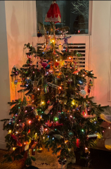 Show us your Christmas trees