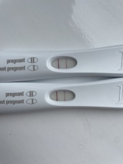 Line eyes - 9/10 dpo