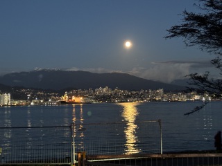 Come and tell me your dull and unexciting news 31: Calmly through the day