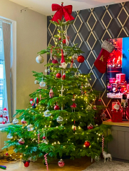 Show us your Christmas trees