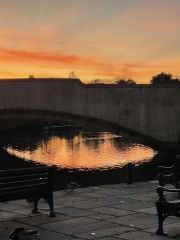 The Nigel Slater Christmas Chronicles Readalong 2024