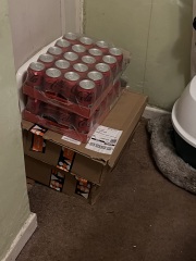 Trick or Cat Treat? The Excellent Cats do Halloween