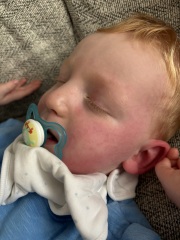 Strep Throat/Scarlet Fever..or just viral illness