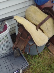 Tennessee Ranch and trail saddles?