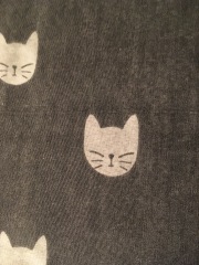 Trick or Cat Treat? The Excellent Cats do Halloween