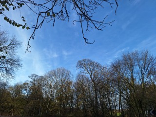 The Nigel Slater Christmas Chronicles Readalong 2024 Part 2