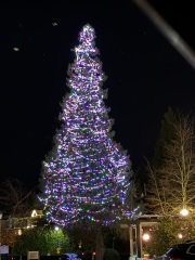 Come and tell me your dull and unexciting news 31: Calmly through the day