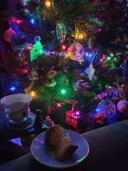 Show us your Christmas trees