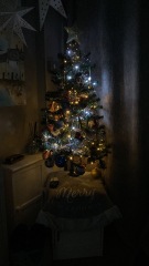 Show us your Christmas trees