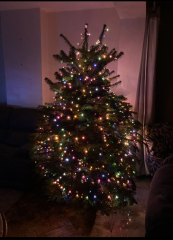 Christmas/Fairy lights with that old fashioned twinkle and glow?