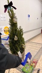 Thread 12 - the one with an extendable honk