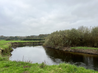 Mounjaro August starters thread 8