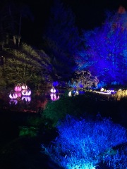 Come and tell us your dull and unexciting news 32: Calmly through the day