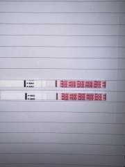 Super early or false positive?