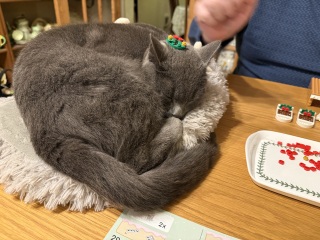 Trick or Cat Treat? The Excellent Cats do Halloween