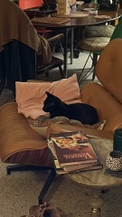 We lost our beautiful 20yr old cat 3 weeks ago but are adopting 2 lovely black kittens from a shelter