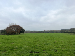 Mounjaro August starters thread 8