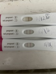 Clearblue says 1-2 but strong line and I'm 5 weeks