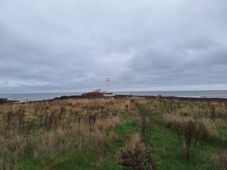 The Nigel Slater Christmas Chronicles Readalong 2024