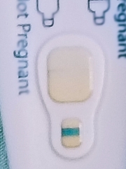 Am I pregnant